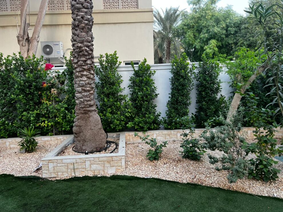 garden landscaping in dubai for villas and homes